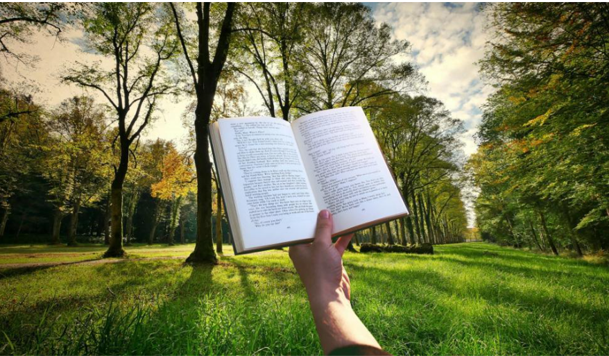 Culture of Reading